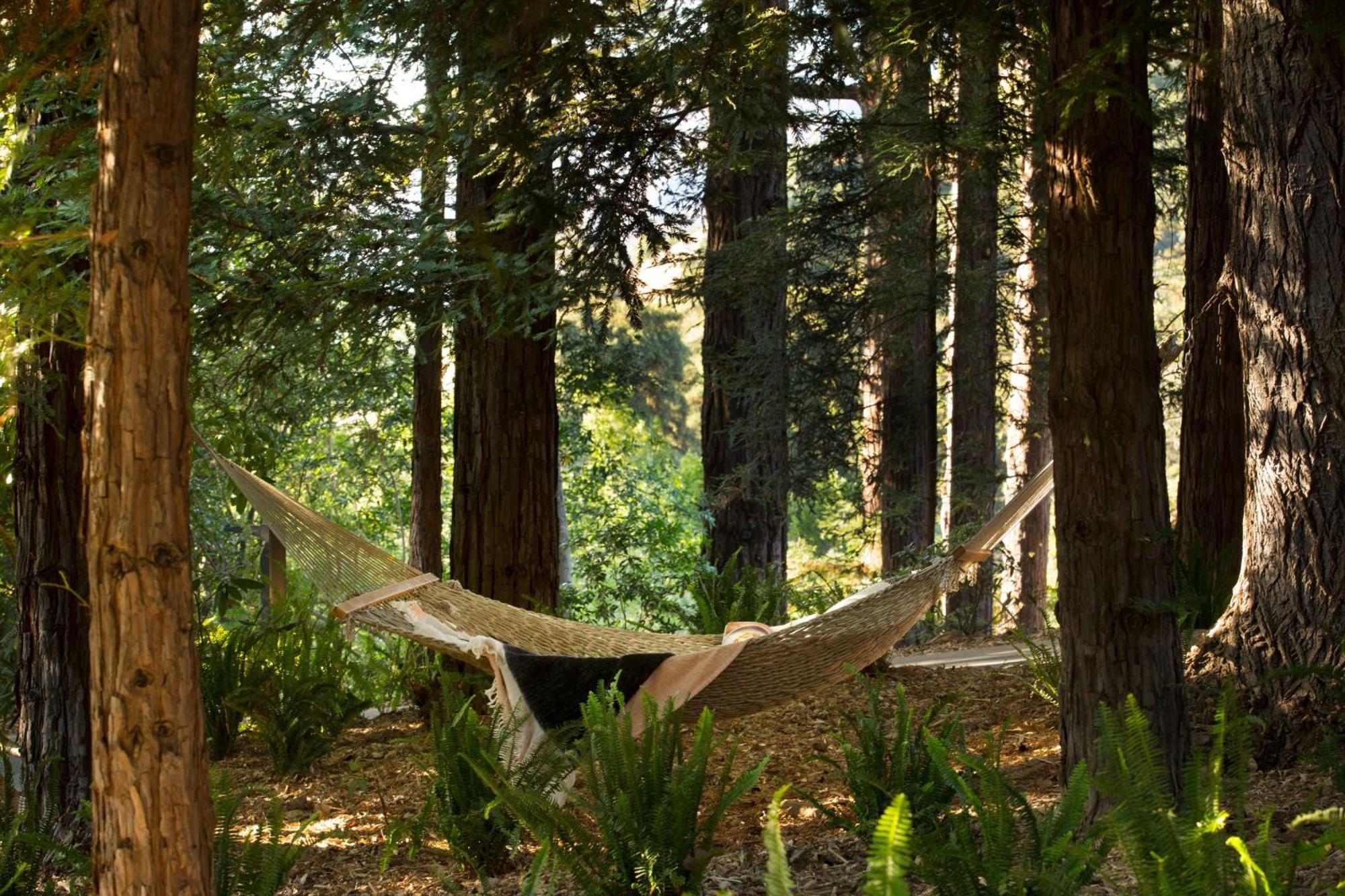 Alila Ventana Big Sur - Inclusive Resort (Adults Only) Luaran gambar
